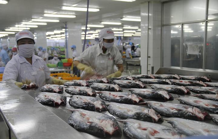 Mùa hè đang trở nên sôi động hơn với sự xuất hiện của chuỗi sự kiện