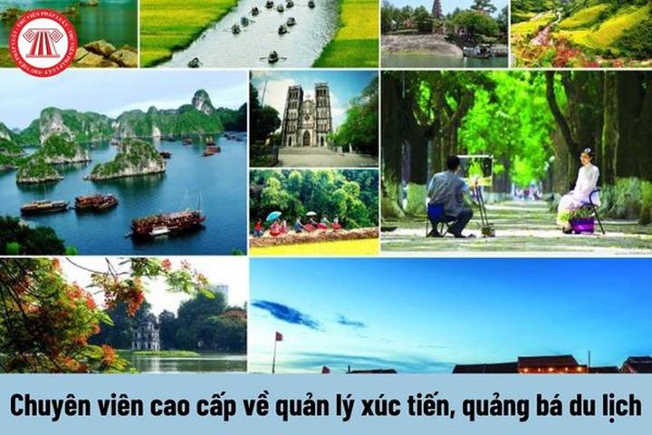 Hotspot Matrix: Cơ hội khởi nghiệp cho mọi người