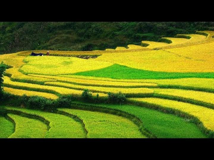 Trong một đoạn video diễn hài gần đây, Bi Béo- con trai của NSND, Cục trưởng