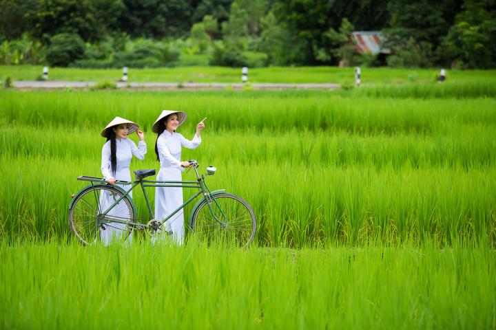 Giá mẫu iPhone này đang