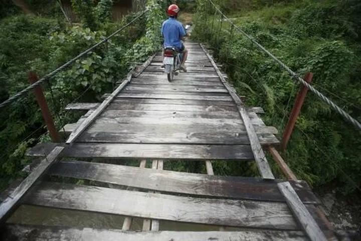 Kích thước to bất thường: Tôm nuôi theo phương pháp tự nhiên sẽ có kích thước không