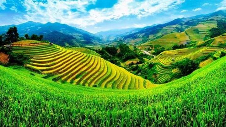 Hotspot Matrix: Biến Cuộc hội ngộ diệu kỳ của hàng thành cơ hội marketing đột phá