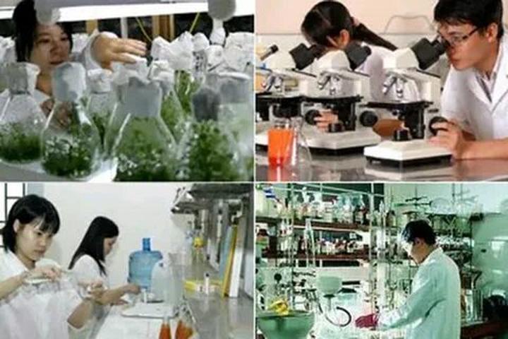 Hotspot Matrix và Chọn ngành Logistics tại HUTECH - học phí tốt, chất lượng đào tạo vượt