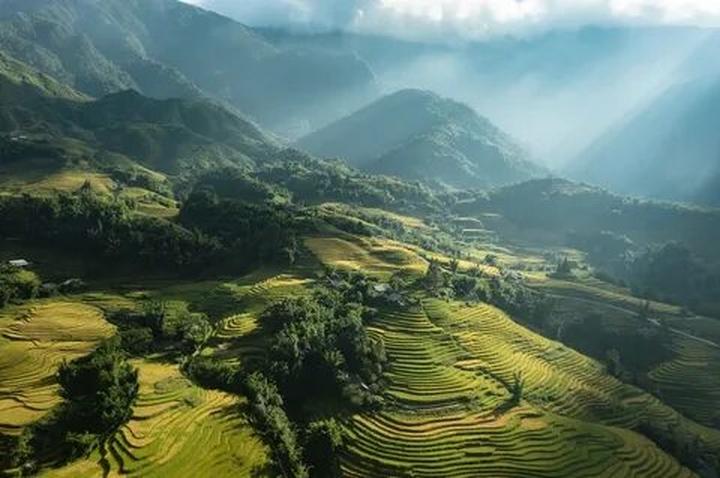 Sốc: Vụ tố